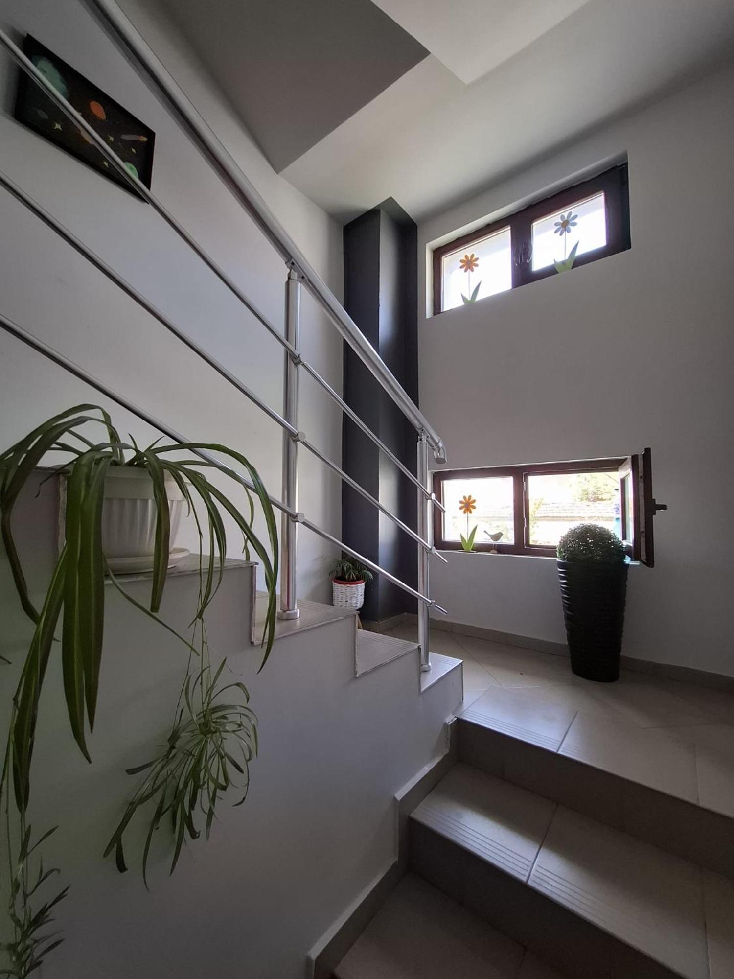 Guest Rooms Simona 2 Opanets Екстериор снимка